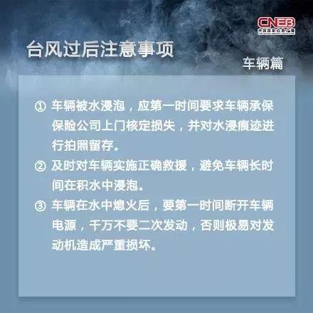 台风最新发布，台风季节应对指南（全用户适用）