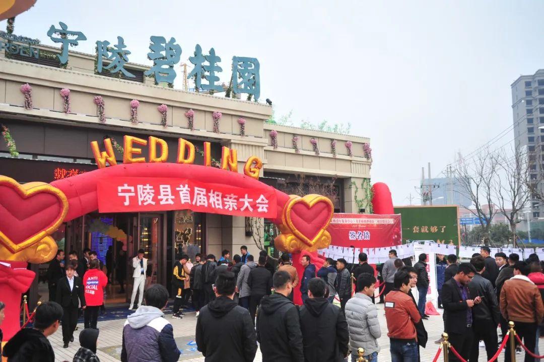 赵村拆迁最新动态，探索自然美景与心灵宁静的寻觅之旅
