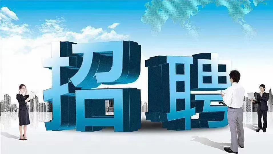 临清最新招聘信息全面概览
