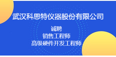 武汉招聘网最新招聘信息，科技驱动求职，轻松探索未来职业路径