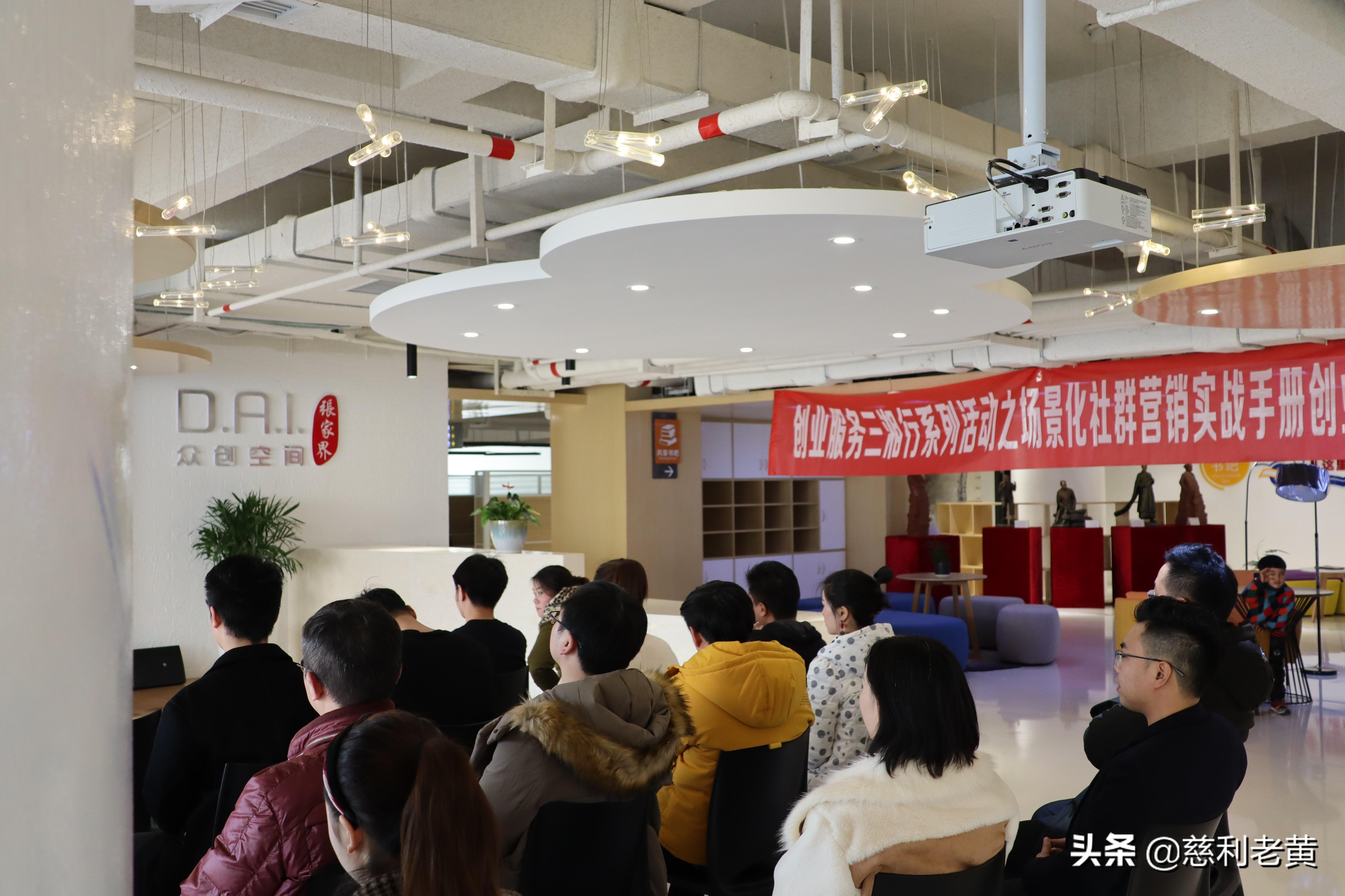 张家界最新动态与观点分析，城市发展的深度解读