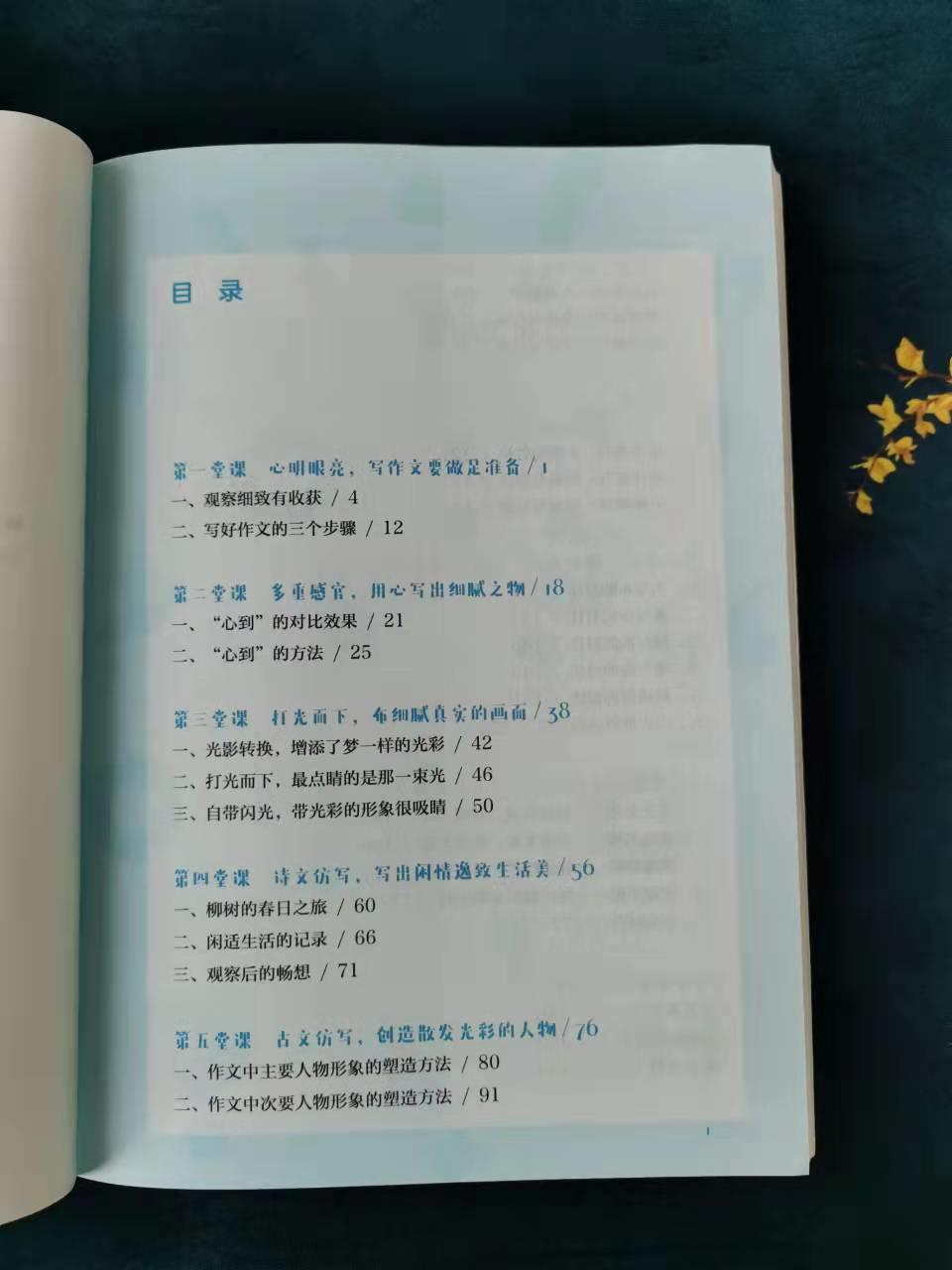 赋予自信与成就感的魔法之旅，最新变化中的学习之旅