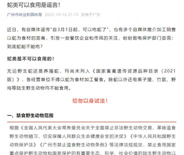 探索蛇类饲养新纪元，最新养蛇视频全解析