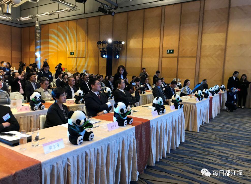 都江堰最新新闻报道及论述