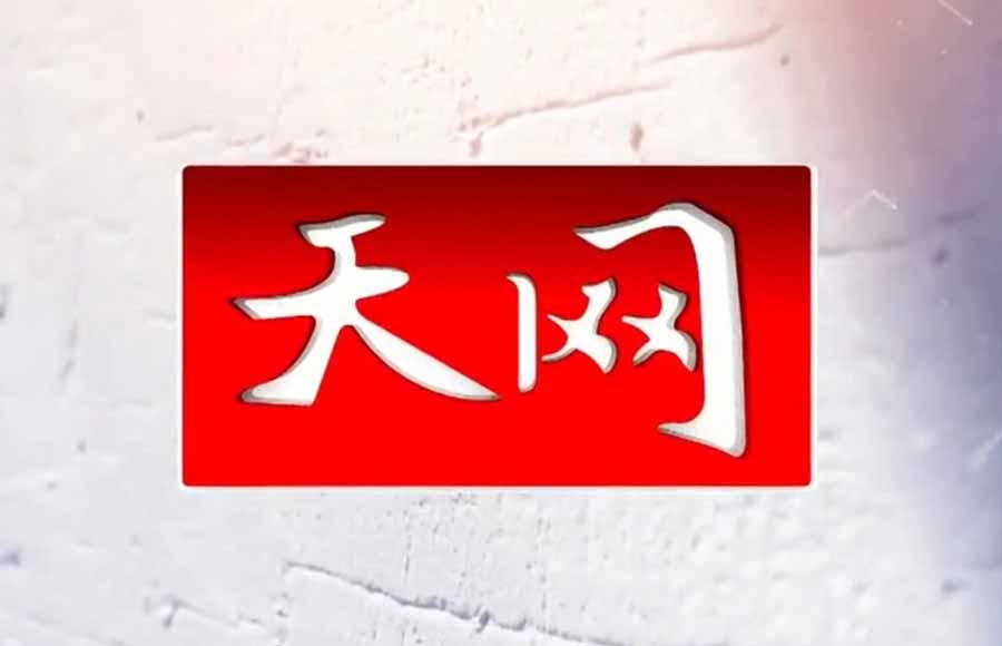 天网最新一期详细步骤指南及内容概述