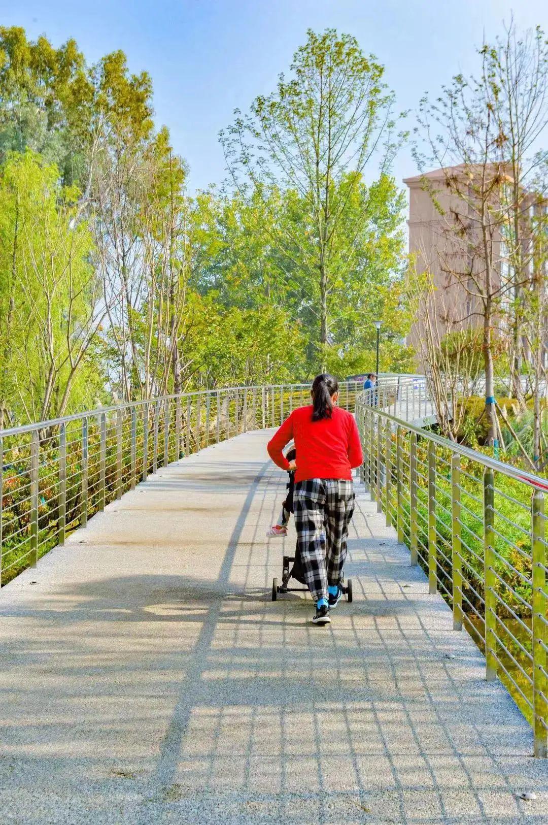 奔跑吧兄弟最新版，欢乐日常与爱的纽带传递正能量
