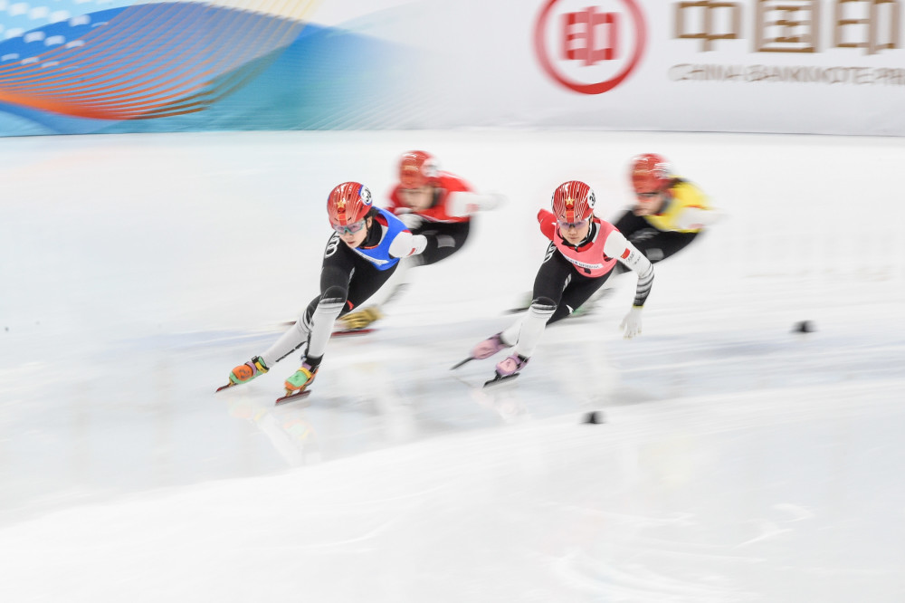 短道速滑热点聚焦，最新动态与各方观点速递