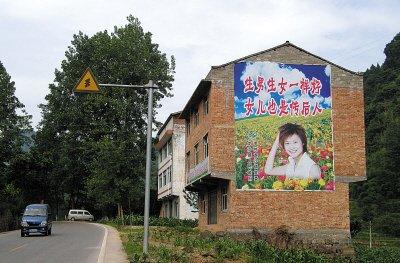 最新计划生育动态，探索自然美景，寻求内心平和的旅程