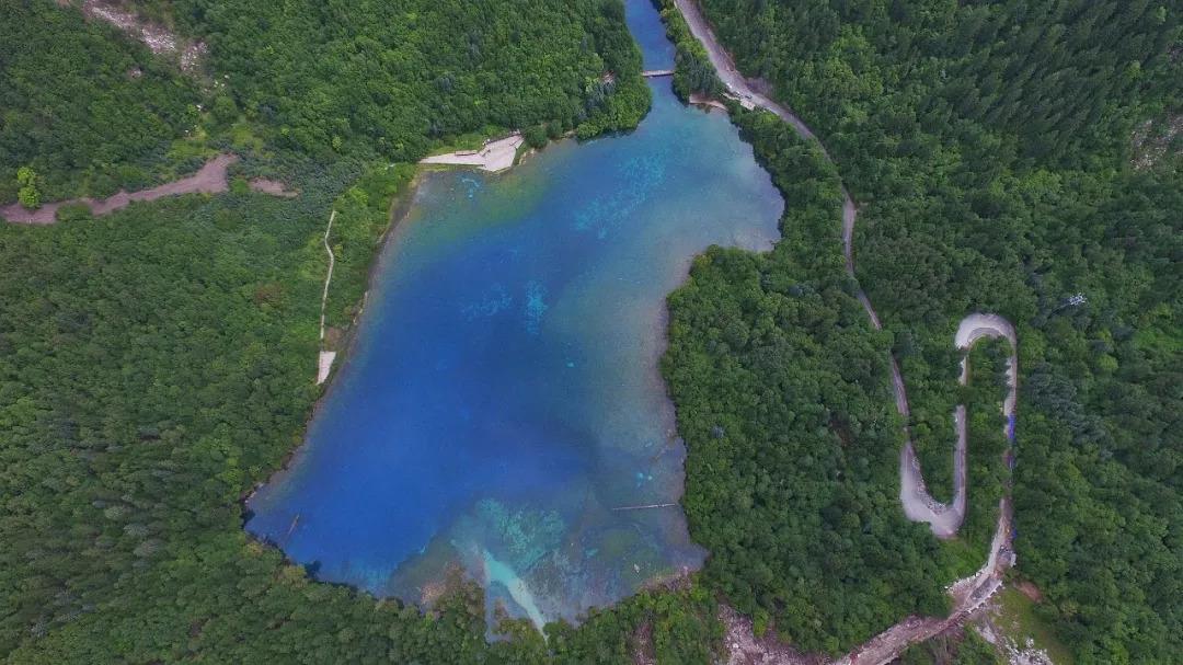 青岛最新油价详解与论述